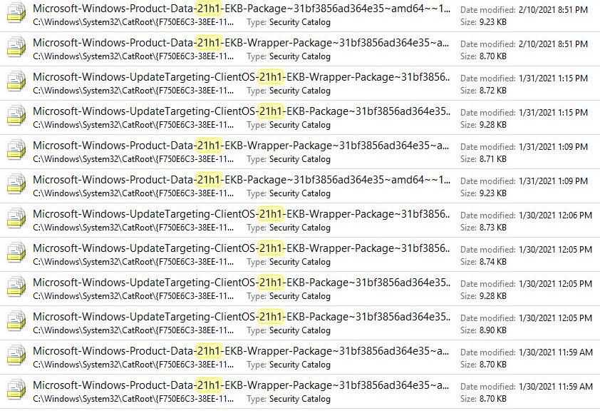 Key Terms EKB 21h1 Reveal Next Win10 Release Coming Closer (21H1 search).