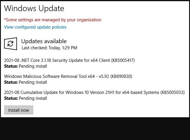 Windows 10 Build 19043.1165 Install Button