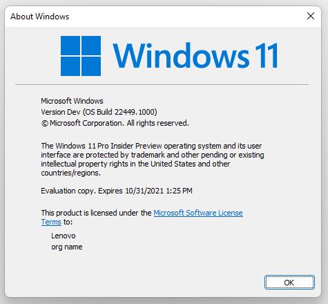 Windows 11 Dev Channel Goes Nickel