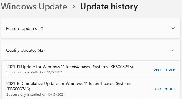 Unusual Windows 11 Update KB5008295