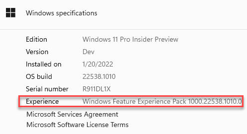 New Windows Experiences Coming February