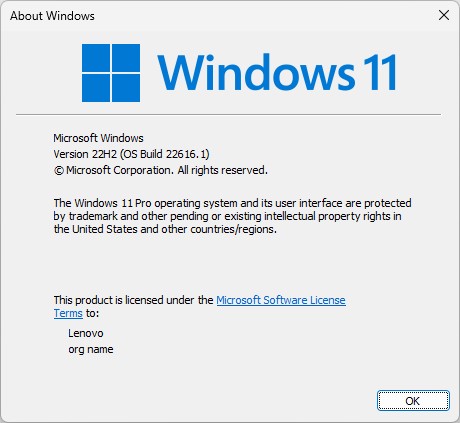 Windows 11 Build 22616 Updates Itself All Over