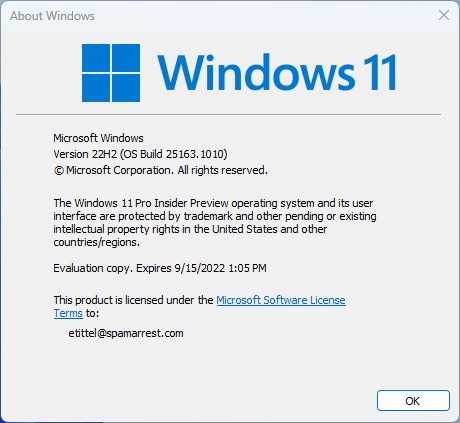 Windows 11 Dev Channel Upgrades Itself