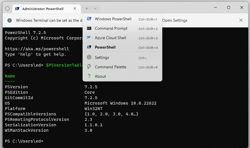 Windows Terminal PowerShell Selection.choose shell