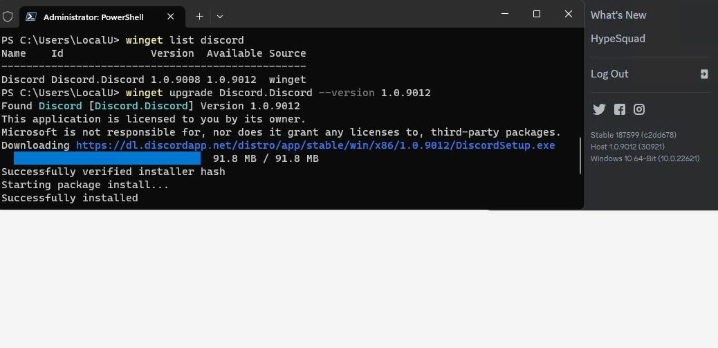 Winget Discord Update Trick