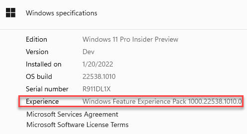 New Windows Experiences Coming February