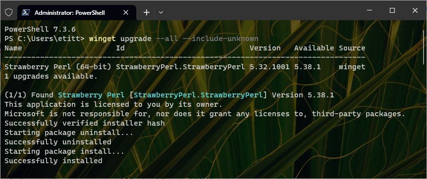 After OOO Upgrade Whirl Resumes: winget updated Strawberry Perl