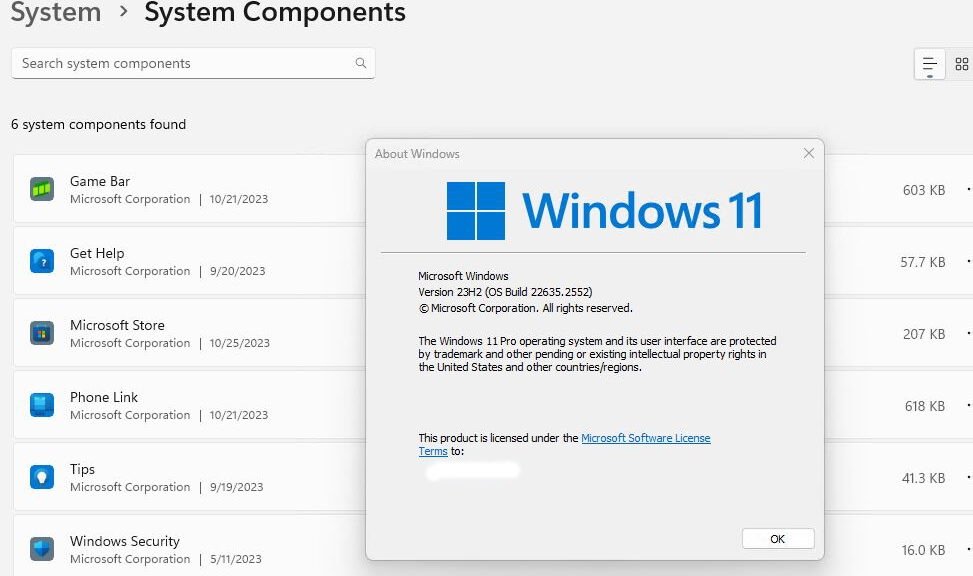 Beta Build 22635.2552 Adds System Components