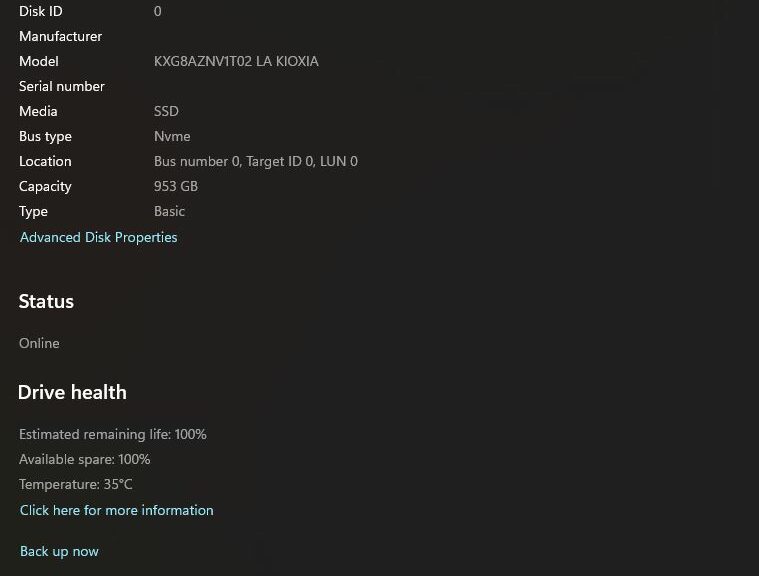 Windows 11 Disks & Volumes Info