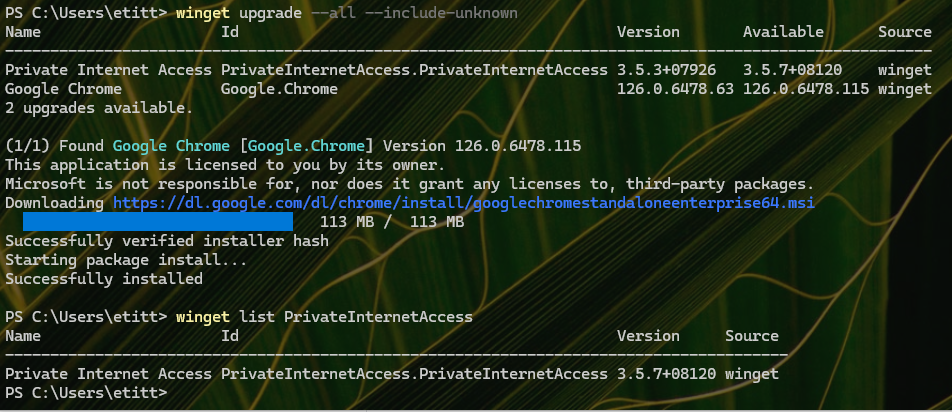 WinGet VPN Update Gotcha
