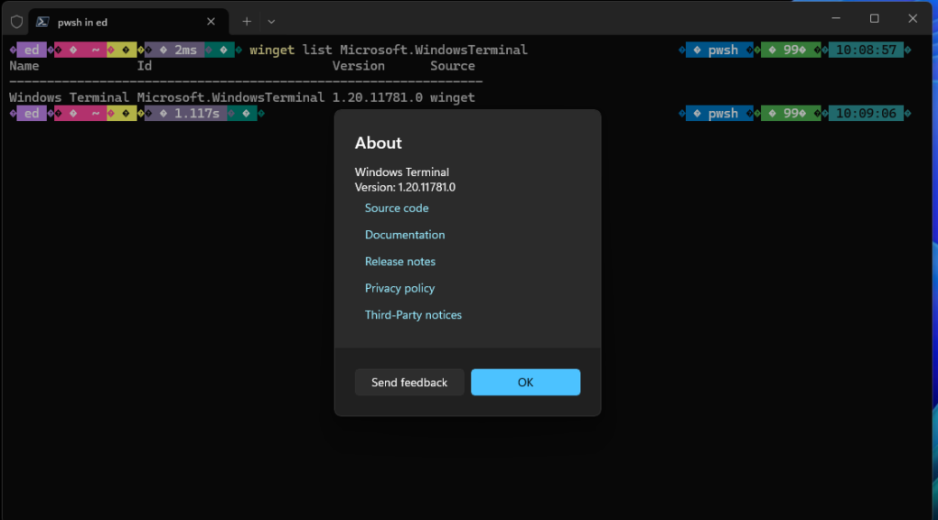 Update and Check Windows Terminal Versions
