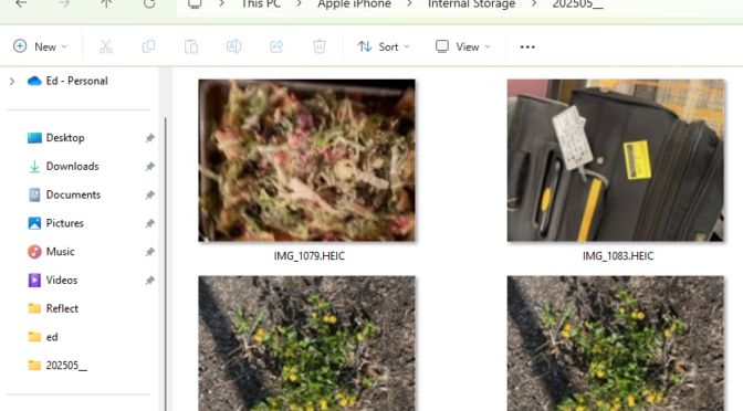 Seeing HEIC File Explorer Thumbnails