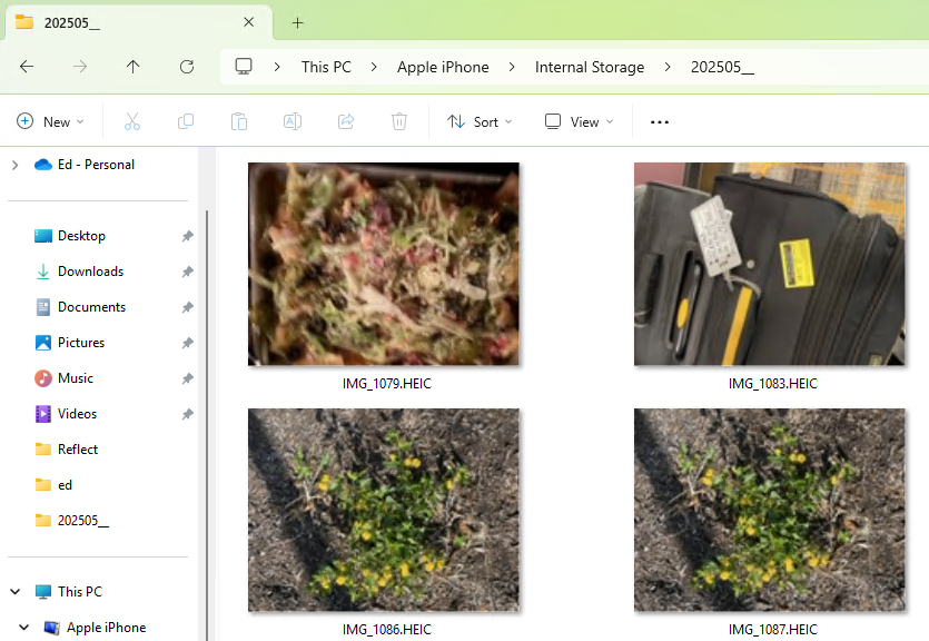 Seeing HEIC File Explorer Thumbnails