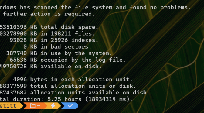 CHKDSK Follies Follow Drive Prep