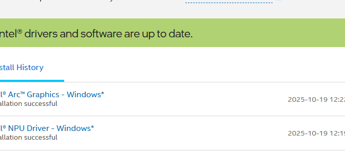 I contract a case of Intel DSA remote follies yesterday, when a GPU/NPU update hangs. Going local fixes things right away.