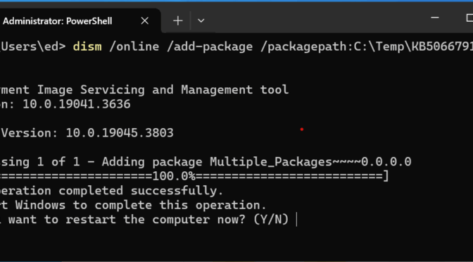 DISM /Add-Packages Loses Windows 11 Mojo