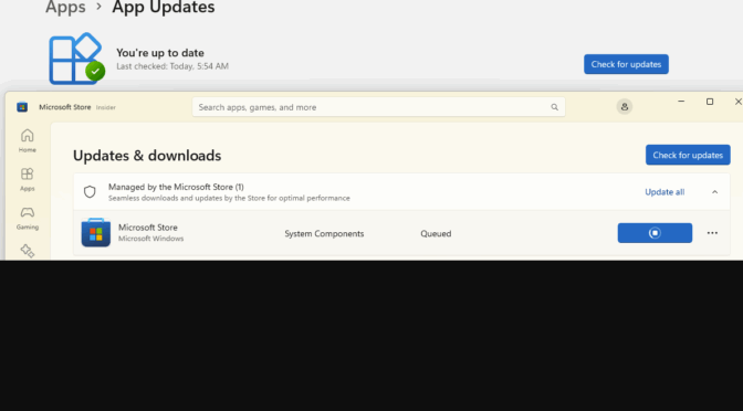 Settings vs Store App Updates