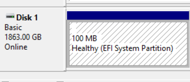 Windows Outgrows 100 MB ESP