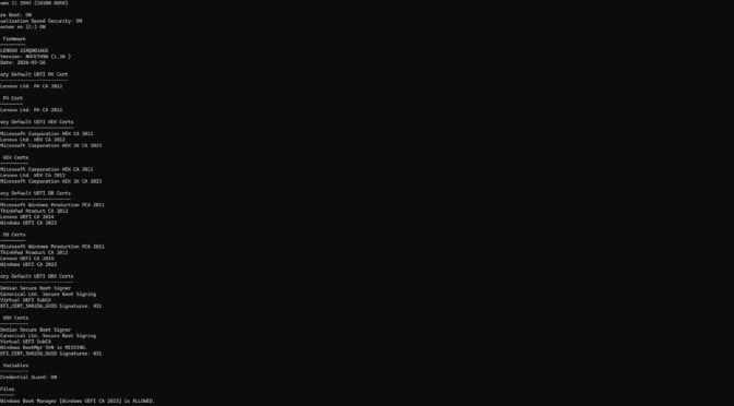 Long Trip From 26H1 To 25H2 On P16G3