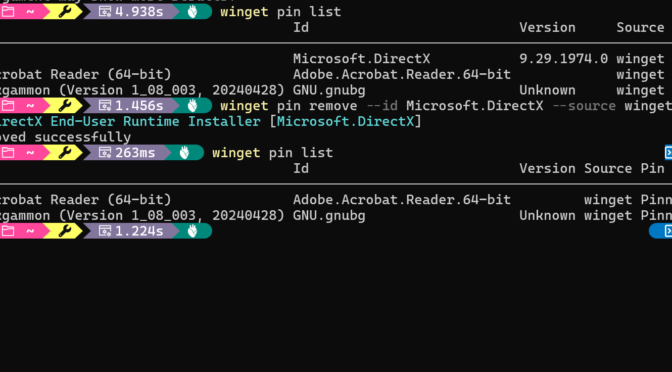 Strange DirectX Pin on Flo6