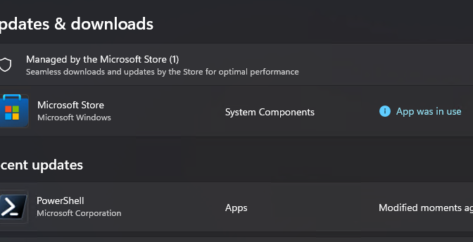 MS Store Sees Update Coming